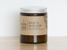 Load image into Gallery viewer, ROSE IS IN BLOOM