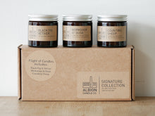 Load image into Gallery viewer, SIGNATURE FLIGHT (3)